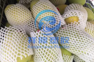 Fruit net