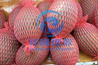 Fruit package foam net