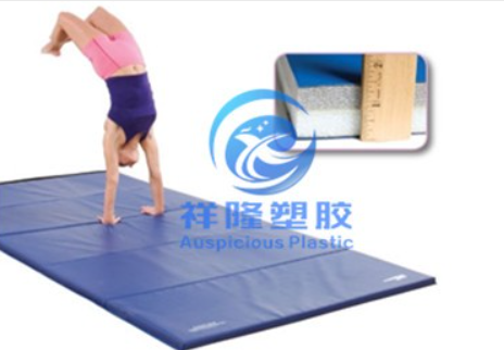 gym octagon mat gym octagon mat